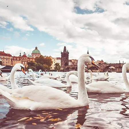 Bright & Spacious 8 Persons 10 Min From Centre Prague